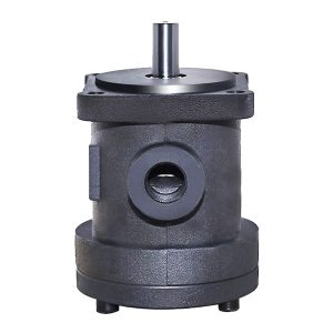 고정 용량 베인 펌프